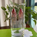 Detail view of red black gradient cicada wing earrings with gold foil on glass rim - Red Gold Foil
