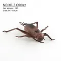 Lebensechtes dunkelbraunes Grillen Insektenmodell Spielzeug für Bildung 9x14x3cm - Grille