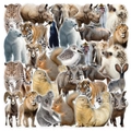 Waterproof PET stickers set featuring realistic wild animal designs like lions and bears - Animal World-50pcs