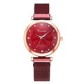 Orologio al quarzo rosso da donna con cinturino magnetico e quadrante con diamanti - Solo Orologio Rosso