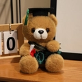 Brauner flauschiger Abschluss-Teddybär mit schwarzer Kappe und grünem Talar - Dunkelbrauner Bär-Grüne Kleidung / 18cm