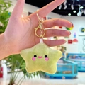 Cute mint green plush star keychain with embroidered smiley face and golden clasp - Light Green Star with Gold Clasp