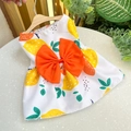 Detailed view of a pet dress featuring yellow lemon prints and an orange decorative bow - Orange Lemon