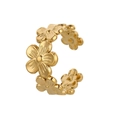 Einstellbar Offen / Gold