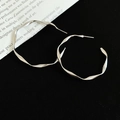 Detailed shot of silver twisted hoop earrings on black velvet with a high-gloss finish - Silver Earring Post Style / 4cm / Silver