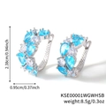 Boucles d'oreilles élégantes avec zircons bleus et blancs et mesures de taille précises - Platine Blanc + Zircon Aigue-marine