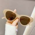Fashion cat-eye sunglasses with champagne beige frames and dark brown lenses - Tea Frame Tea Lens