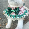 Green Christmas lace pet collar with Merry Christmas bow and Santa Claus pattern - Christmas Style A (Green Merry Christmas Bow)