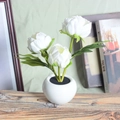 White LED tulip night light in ceramic pot with three faux flowers for bedroom decor - Style D-3 Peony Heads-White-Plug-in