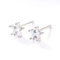 Orecchini a lobo a forma di stella in argento S925 con zirconi trasparenti - Stella / Argento 925 / Oro Bianco