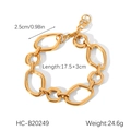 Macro detail van de grove gouden roestvrijstalen schakelarmband met lengte- en breedtematen - Gouden Grove Schakelarmband (HC-B20249)