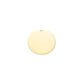 Close-up of a polished 18k gold-plated stainless steel round pendant blank for DIY jewelry - 8mm (DH031) / Gold