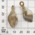 Coppia di ciondoli a conchiglia in acrilico marmorizzato beige e bianco da 30mm - 1 Pezzo Conchiglia in Acrilico 14x31mm
