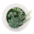 Wall-mounted white round artificial succulent plant frame decoration with moss - Style 1F