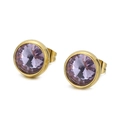 Boucles d'oreilles élégantes en titane doré avec pierres lavande taillées en rond - Or Violet Clair (KE104127-Z)