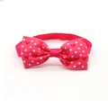 Pink heart and polka dot dog bowtie with adjustable strap for Valentine's Day - Style 14-Pink Polka Hearts