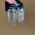 Makroaufnahme von 925 Silber Fransenohrringen mit schimmernden Strass Quasten auf schwarzem Etikett - Silber Kurzer Stil (Silbernadel)