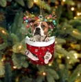 Weihnachtshund-Ornament mit Pitbull in rotem Strumpf und Rentiergeweih-Dekor - Pitbull Typ 3