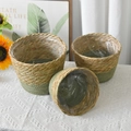 Three-piece seagrass woven basket set in natural and sage green with waterproof lining - Set of 3 (S/M/L) / Green Base