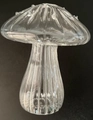 Minimalist clear glass mushroom vase for hydroponic plants on a black background - Style 6/Transparent