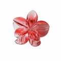 Pinza para el pelo con diseño de flor de frangipani en degradado rojo translúcido - 8cm Rojo Transparente / Embalaje a Granel