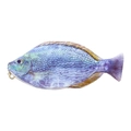 Realistic fish-shaped pencil case with creative purple and blue-green scale patterns - Blue Sea Fish