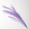9-Head Reed Purple