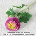 2-Head Ranunculus Purple