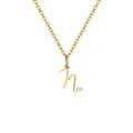 Gold stainless steel necklace featuring letter H with Capricorn symbol and small heart - Letter N