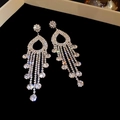 Close-up of elegant silver tassel earrings with shimmering white cubic zirconia stones - Flower Cluster Hollow Water Drop Full Rhinestone Tassel Style (45#)