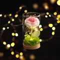 Rosa all'uncinetto rosa in cupola di vetro con luci LED e base in legno decorativa - Rosa Sfumatura Rosa