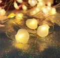 Warm white LED shell string lights on shimmering blue background for holiday decoration - 1m 10-LED (2AA Battery Model) / Shell
