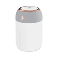 Humidificador portátil blanco y oro rosa con ventana de nivel de agua transparente - 330ML / Gris