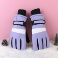 Lavender winter touchscreen gloves with waterproof and windproof thermal padding for outdoors - One Size / Women's Purple
