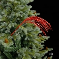 Red glitter Christmas decorative branch 55cm long for DIY tree arrangements - Red 55cm