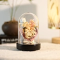 Fiori eterni in cupola di vetro con luci a LED e base in legno nero elegante - Rosa A