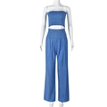 Detail of blue two-piece set featuring pleated cropped tube top and high-waist wide-leg pants - S / Blue