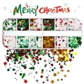 Christmas glitter set for nail art with stars and snowflakes in 12-grid box 12G-938 - 12 Grids / Mixed Red Green Gold White Snowflake (12G-938)