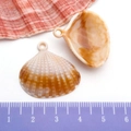 Cream-colored seashell acrylic pendant with brown stripes for DIY jewelry making - Ocean Shell 27x26mm (17278)