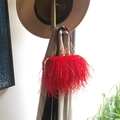 Chic rose red ostrich feather box bag with luxury gold ring clasp and chain strap - Brick Red