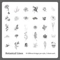 30 black and white botanical line art stickers featuring roses and lilies, 60 pieces set - Botanical Lines