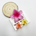 Three-piece plumeria flower hair claw set in vibrant pink yellow and orange gradient tones - Mixed Color Set #22 (includes Cards)