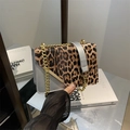 Borsa a tracolla chic con stampa leopardata e argento con catena dorata su supporto libri - Argento