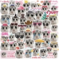 50 pieces of waterproof hamster meme stickers for laptop and guitar decoration - Hamster Meme Series
