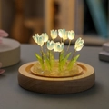 Single Glass Dome (No Flowers No Base) 9 Blue Tulips