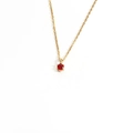 Collar minimalista de acero inoxidable chapado en oro 18K con circonita roja redonda - Enero-Rojo