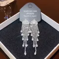 Elegant S925 silver fringe earrings with long zircon tassels and teardrop crystal charms - E0299 Silver Needle (Drop Full Diamond Tassel Silver)