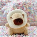 Cute Capybara plush keychain wearing a toast collar with silver bead chain - Donut Light Brown + Bead Chain