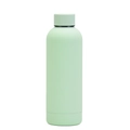 Insulated stainless steel water bottle in mint green with a matte frosted finish - 500ml / Pale Green