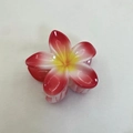 Elegant red and yellow gradient plumeria hair claw clip for women's tropical hairstyling - Bauhinia Hair Claw / Pack of 12 (8x7x4.3cm) / Rose Red